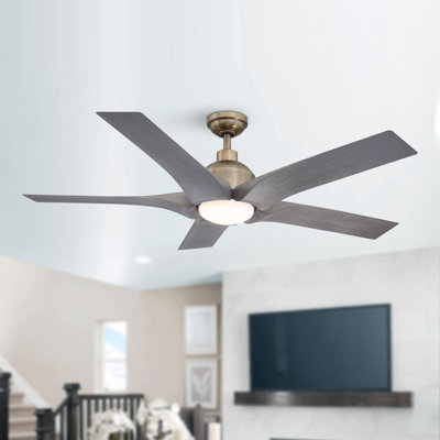 Berenise 56'' Ceiling Fan with LED Lights
