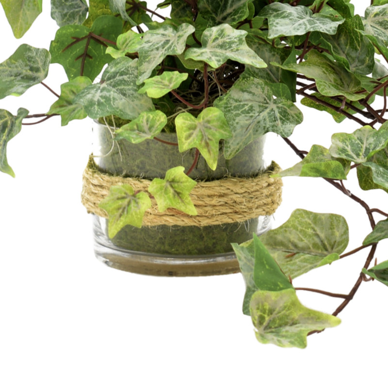 Polysilk Ivy Arrangement in Vase