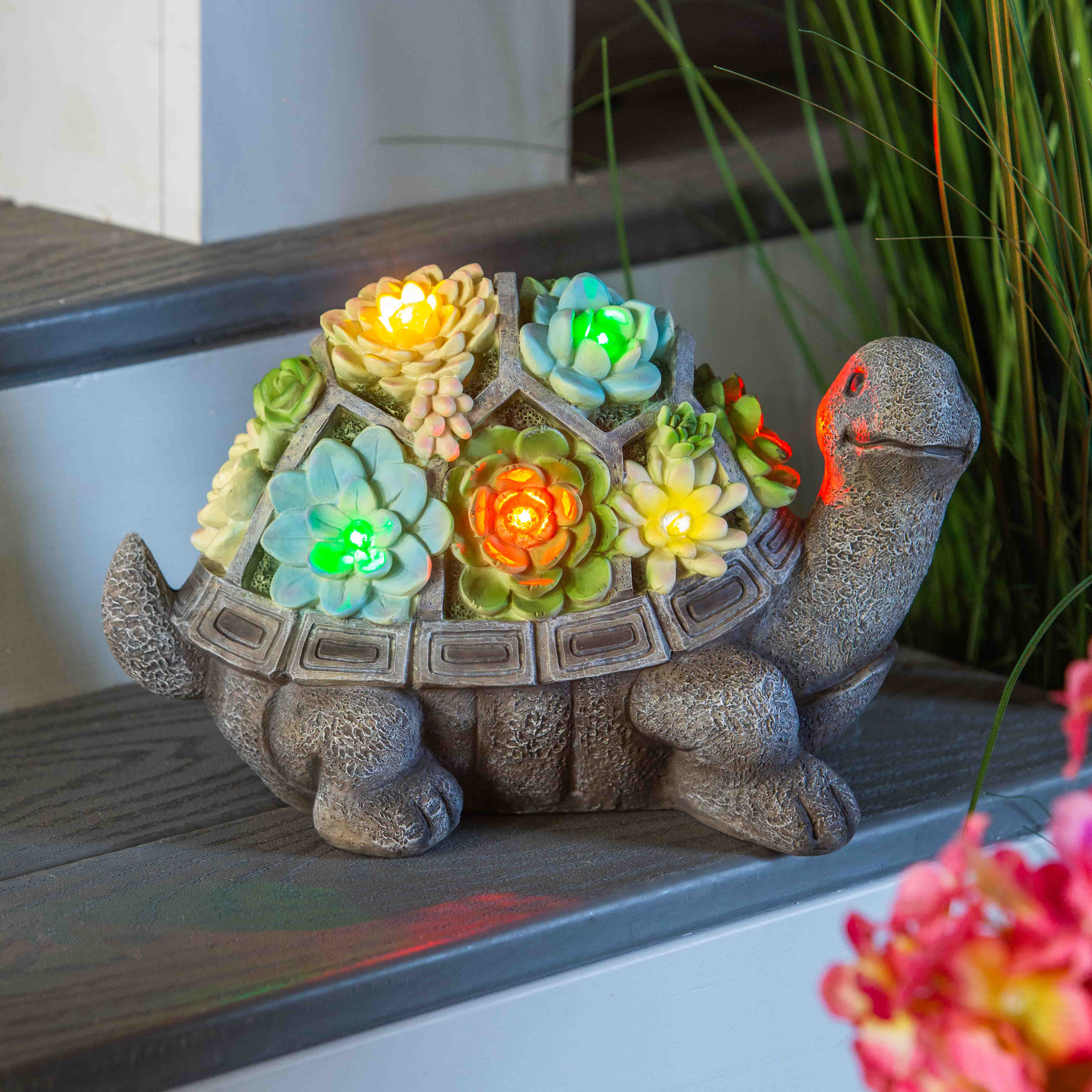 August Grove® Rondions Resin Succulent Turtle Statue & Reviews | Wayfair