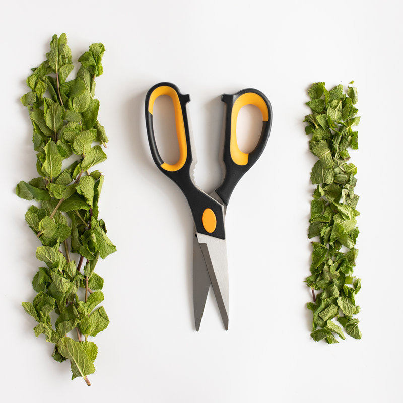 Deiss Pro Kitchen Shears - All Purpose Heavy Duty Kitchen Scissors