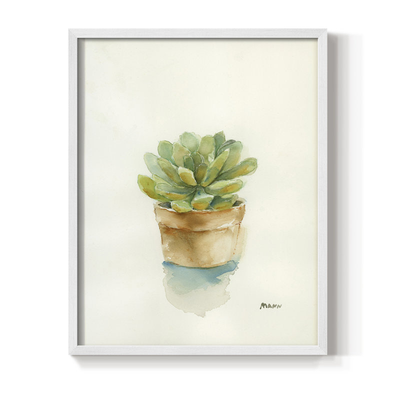 Succulent II, reproduction encadrée - bois massif, Blanc, H 14 po x l 11 po