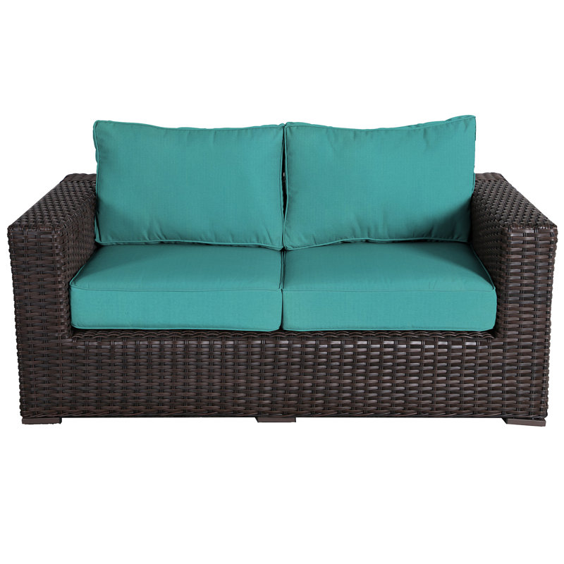 Woodham 65'' Wide Loveseat with Cushions, Aruba