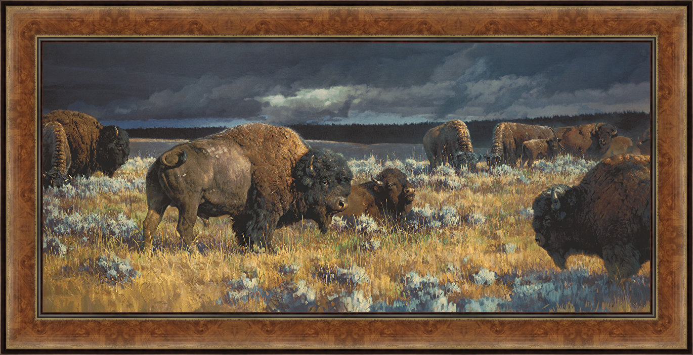 Loon Peak® 'Restless' Framed Graphic Art Print on Wrapped Canvas | Wayfair