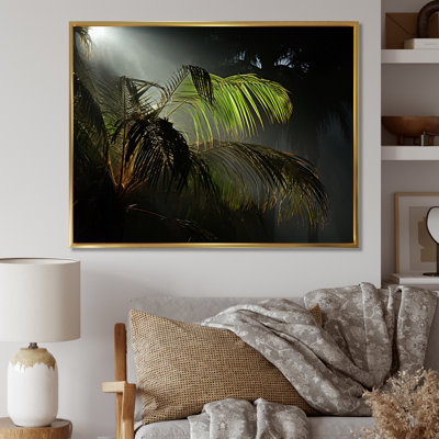 " Palm Trees Palm II "