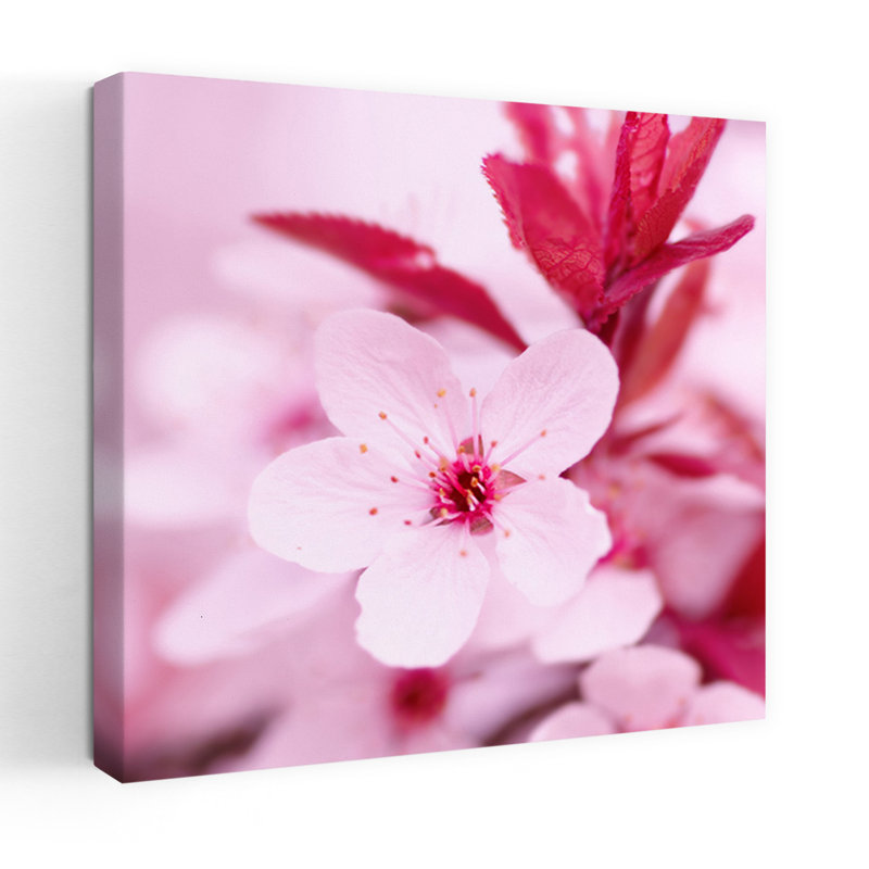 Art floral contemporain rose, H 18 po x l 18 po