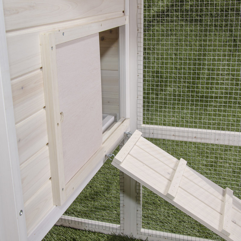 Charitee Chicken Chateau with Chicken Run