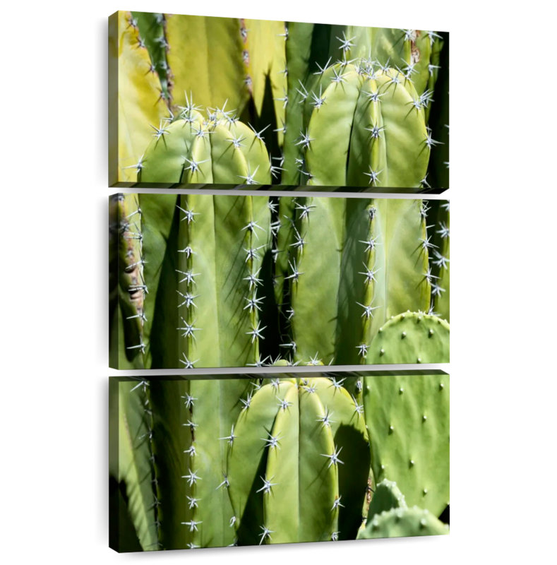 Harnek Totem cactus, H 32 po x l 20 po