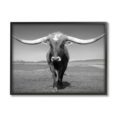 Longhorn en campagne par Steve Toole