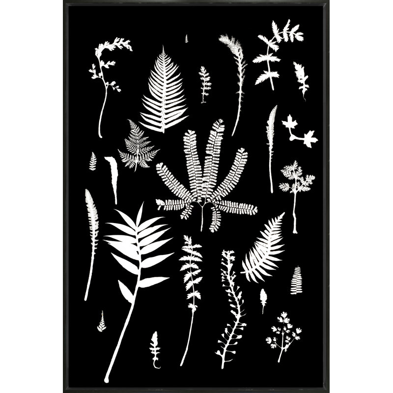 Botanical Collage " Botanical Collage 3 ", Black Framed, 41" H x 27" W