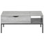 Table basse moderne grise avec plateau relevable, 42 po de long, structure en métal noir, table de rangement dissimulée rectangulaire, gris, pieds, choix supplémentaire