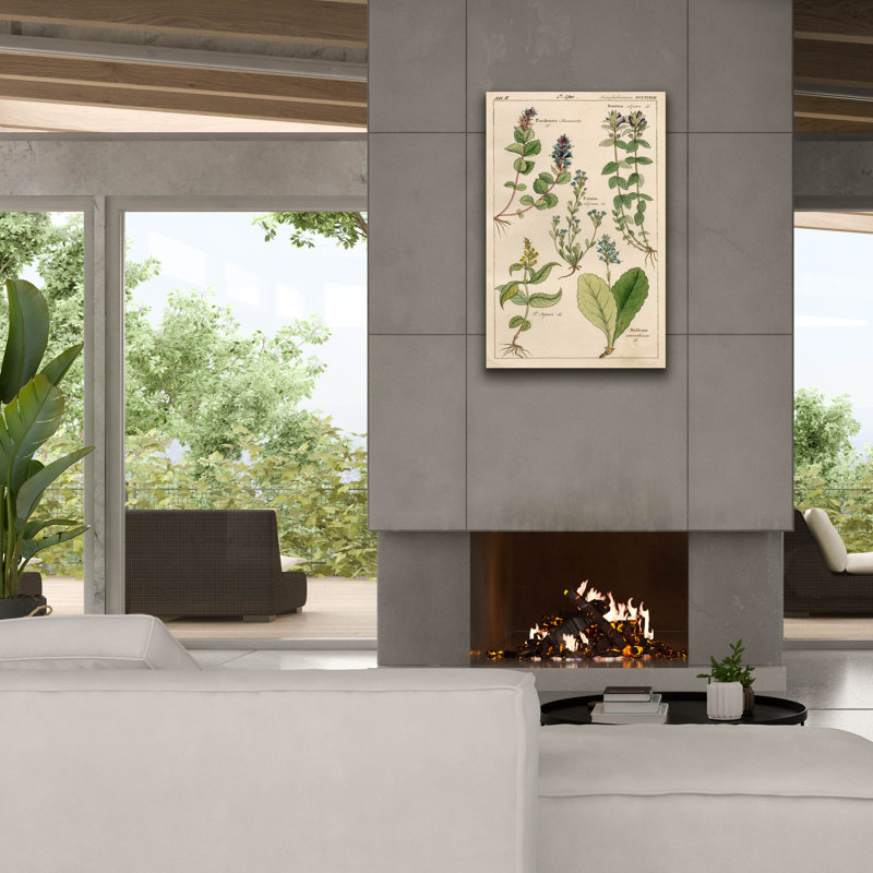 «Scrophularineae» par Art Licensing Studio, art mural sur toile