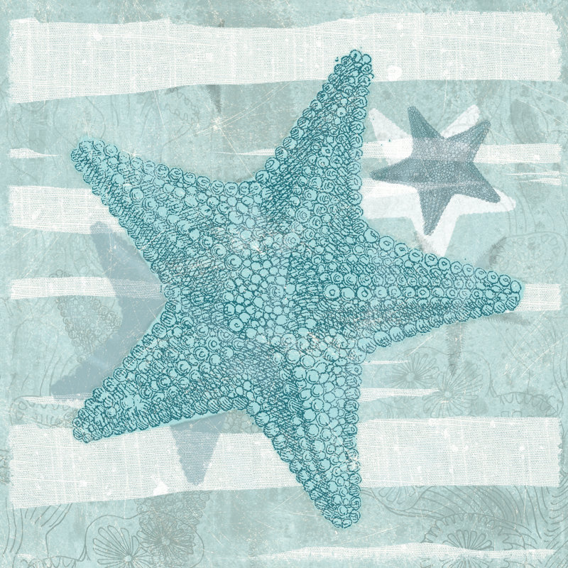 Soft Sea Starfish - Wrapped Canvas Painting, 30cm H x 30cm W x 3.8cm D