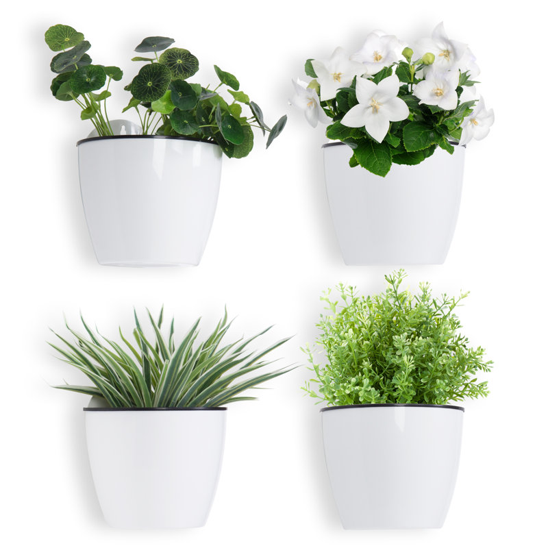 Wall Planter