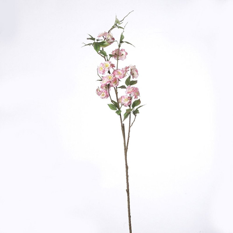 Pulvérisateur de fleurs cerises, Rose