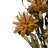 Plumosum Arrangement-94734889