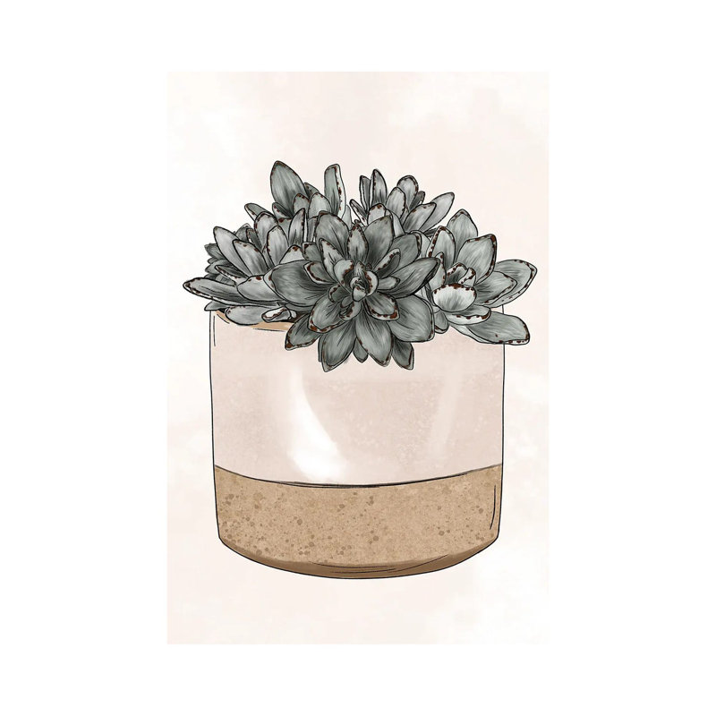 Potted Succulents 1 Piece Wrapped Canvas Painting, 20.32 cm H x 30.48 cm W