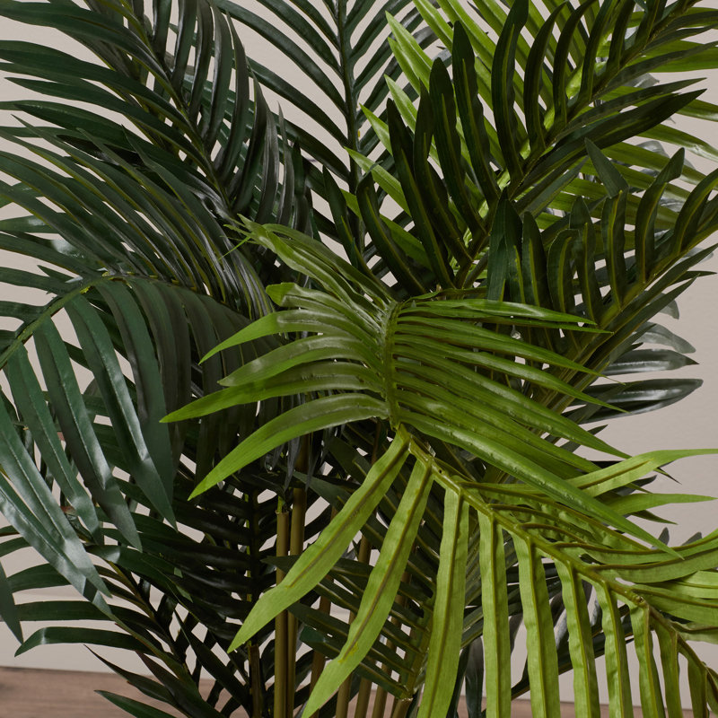 Thisbe Faux Palm Plant in Plastic Pot, 60" H x 52" W x 47" D