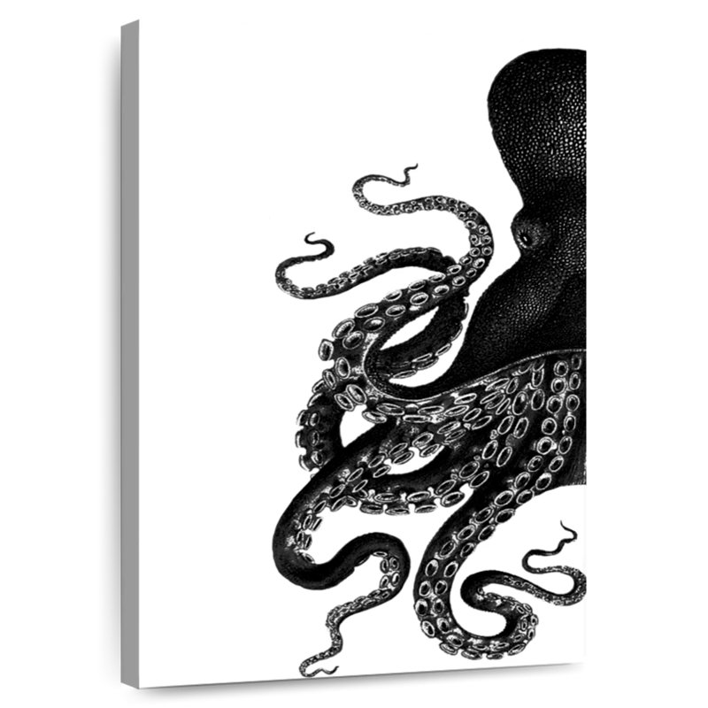Brampt Octopus Black And White I, 24" H x 16" W