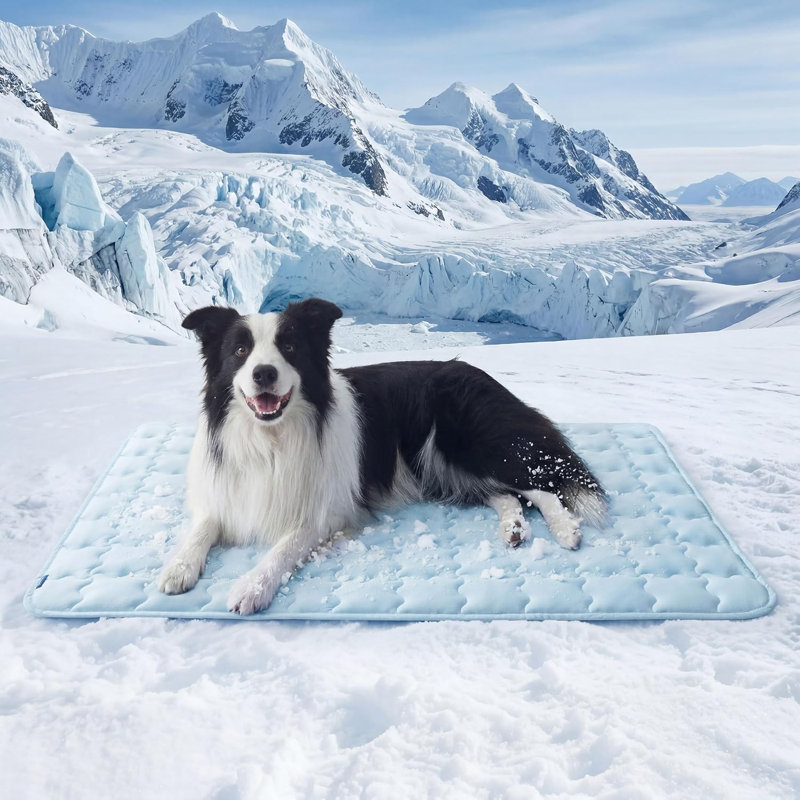 Tapis de refroidissement pour chien extra-large, Q-Max 0,5 XL
