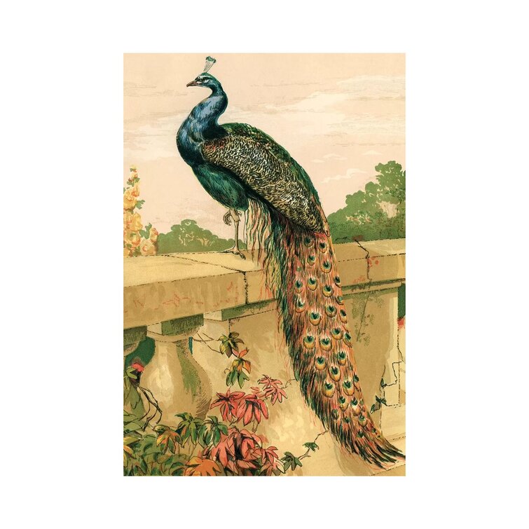 Wall Art Print, Love's Vibrant Peacock: Colorful Texture Portraying Beauty