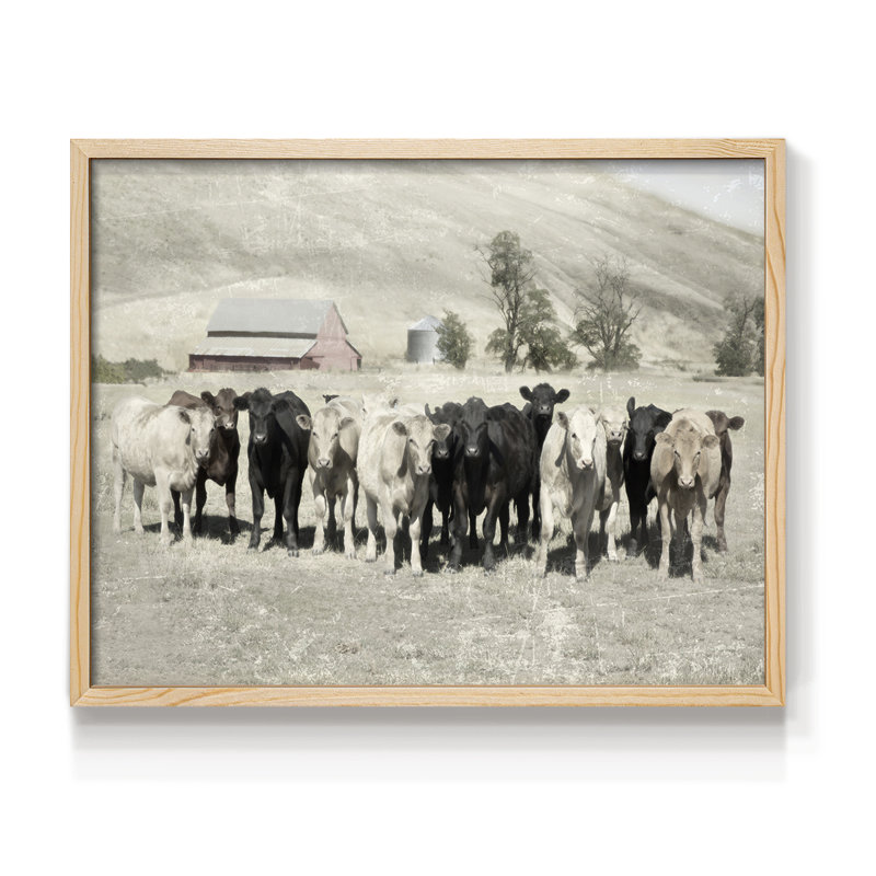 Cattle Ranch -Framed Print - Restickable, Natural, 11" H x 14" W