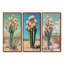 Pastel cactus en fleurs dans le désert I - ensemble de 3 cactus floraux, collection d'art mural-1116655088-1116655091-1116655093