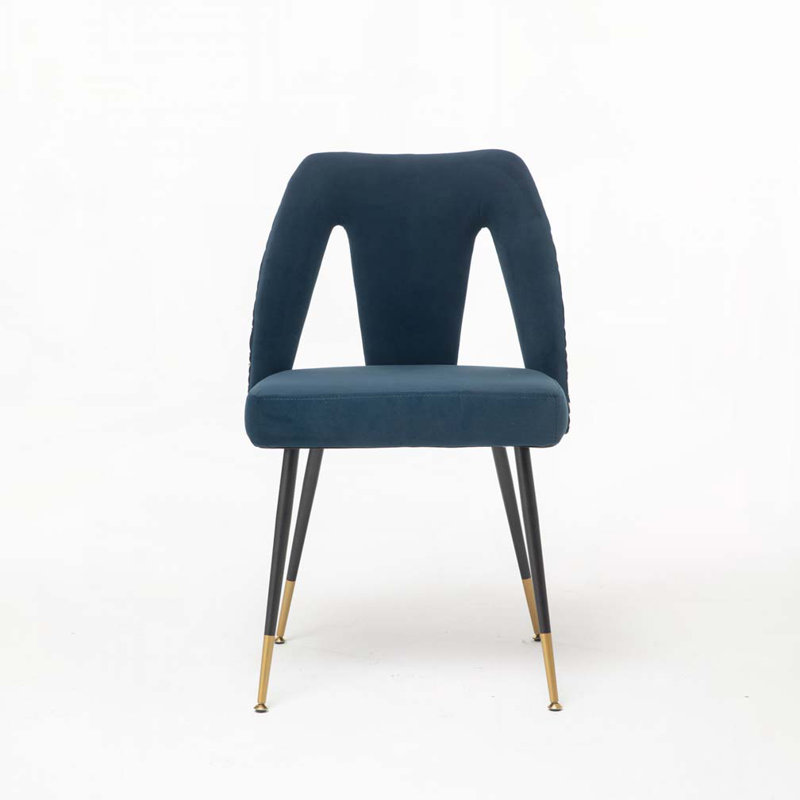 Ensemble de chaises de salle à manger rembourrées en velours avec dossier rembourré, pieds en métal, Bleu