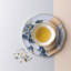 Butterfly Bloom Bone China Teacup