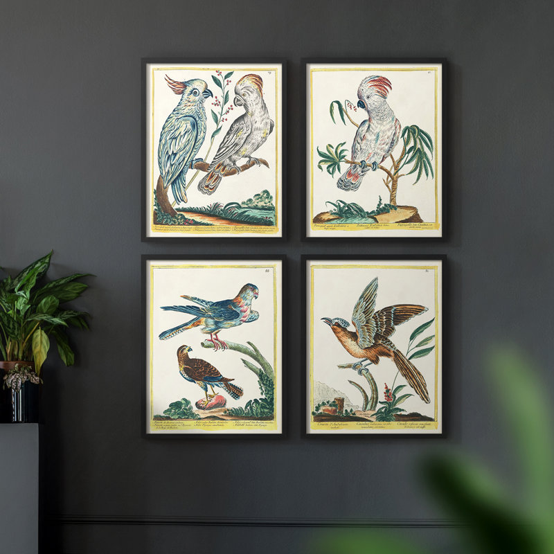 «Pastel Birds I», ensemble de 4 encadrés, Noir, H 32 po x l 10 po