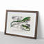 Green Iguana and Lizard by Charles D'Orbigny - Picture Frame Painting Print-55608976-55608977