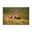 No Frame Print on Canvas-932876849