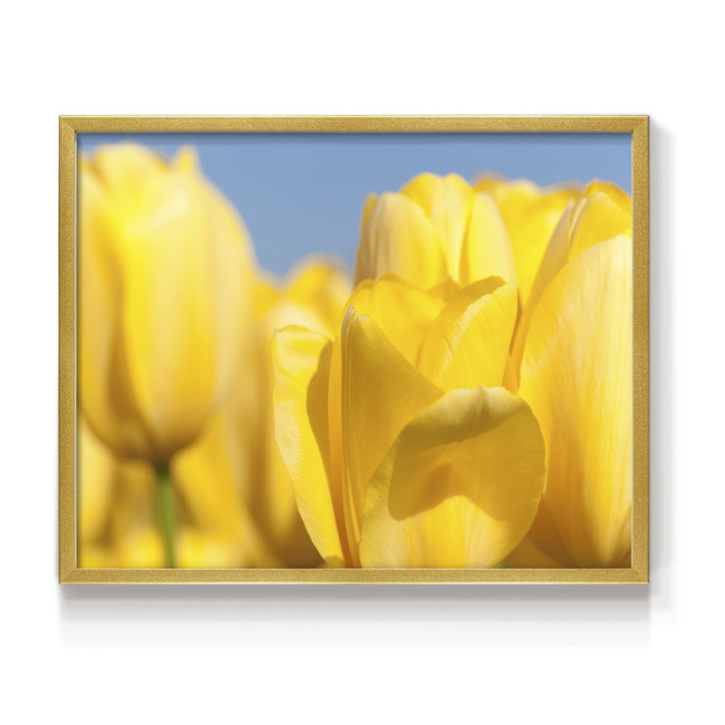 Jaune soleil I - impression encadrée - réversible, H 11 po x l 14 po