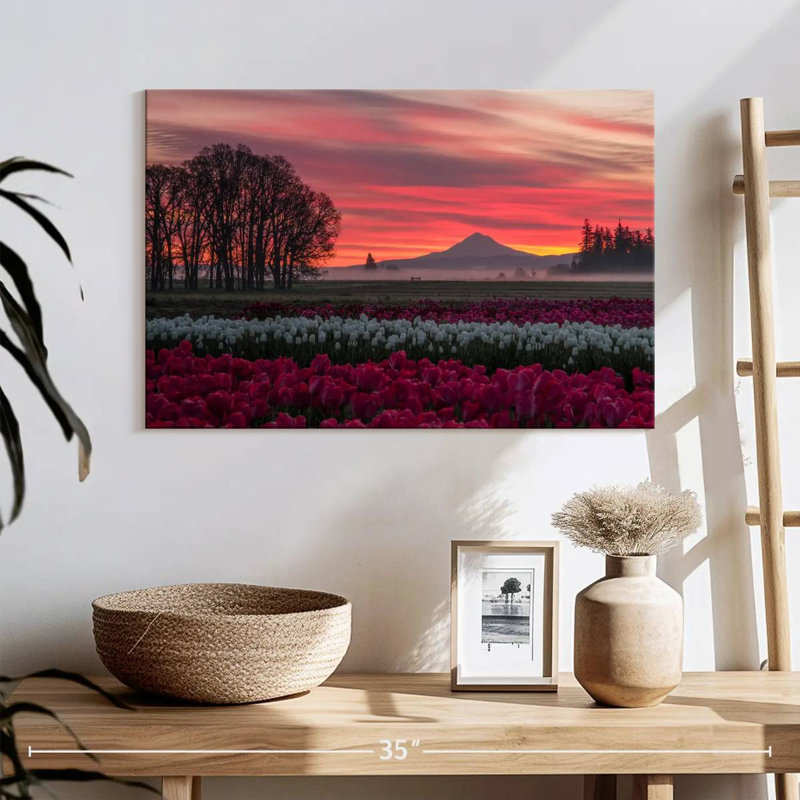 Coucher de soleil sur un champ de tulipes Alvord, H 16 po x l 24 po