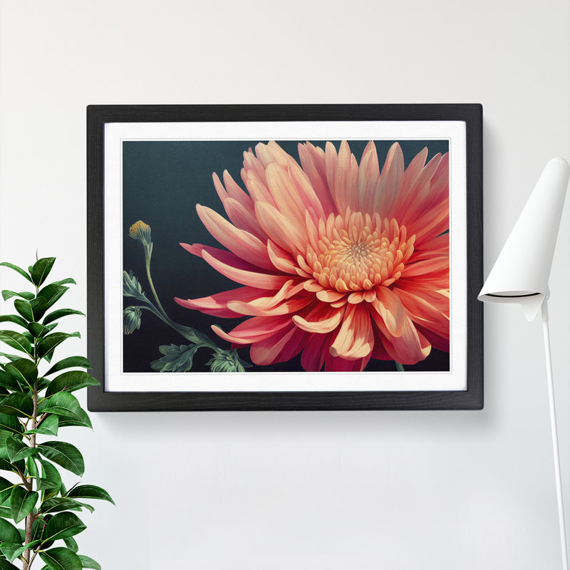 Timeless Chrysanthemum Flower - Single Picture Frame Print, 34cm H x 46cm W x 2cm D, Black Framed