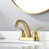 Brushed Gold selected
