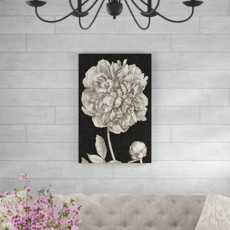 «Dramatic Peony I» par Vision Studio, reproduction d'art sur toile, H 36 po x l 24 po, Toile tendue