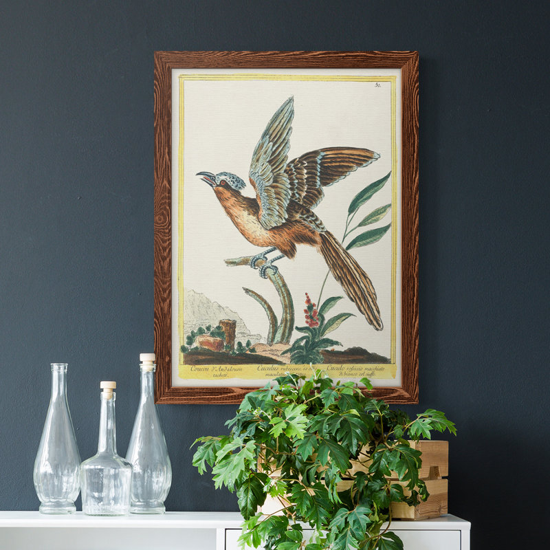 Toile encadrée Pastel Birds IV Premium - prête à être accrochée, H 24 po x l 20 po x P 1 po, Érable