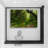 Nature Landscape " Deep Green Forest "-99543763