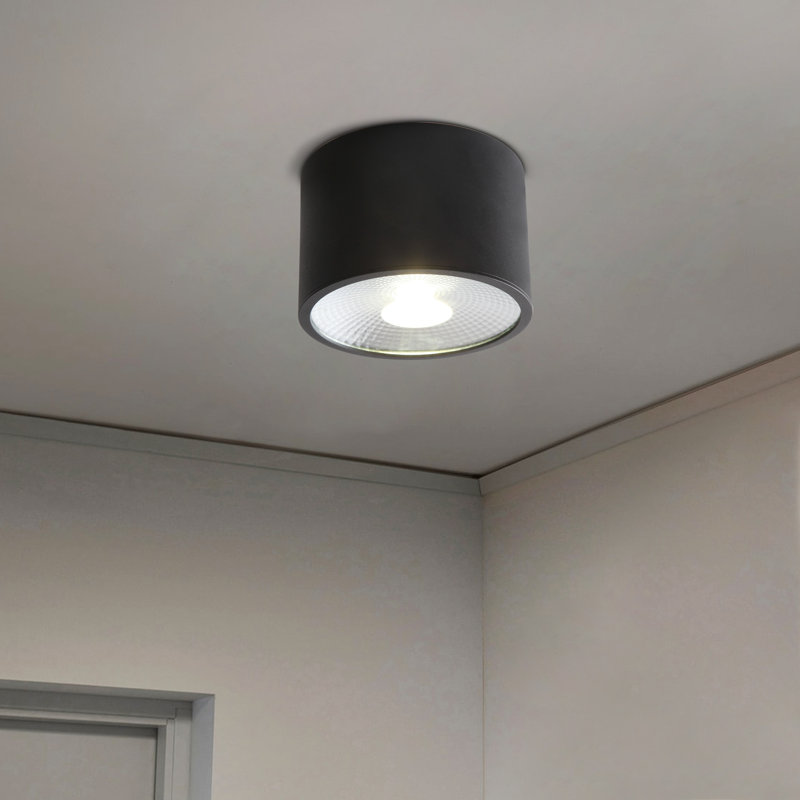 Plafonnier à DEL 4,7 pouces noir