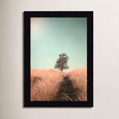 Grass and Path Photo Print by Jaap van den