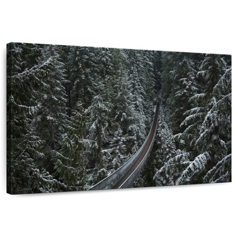 Pont suspendu Alvord Capilano, H 34 po x l 51 po