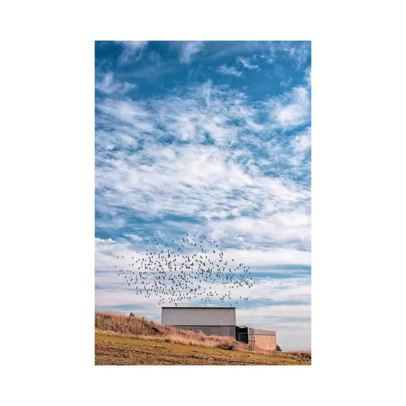 Where To by Nirs Photography - Wrapped Canvas Print, 20.32 cm H x 30.48 cm W