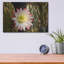 «Night Cactus Bloom Az 8663» par Mike Jones, art mural en métal, 16 po x 12 po-264467828