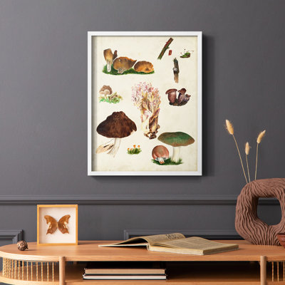 Reproduction encadrée Mushroom Species IX - bois massif