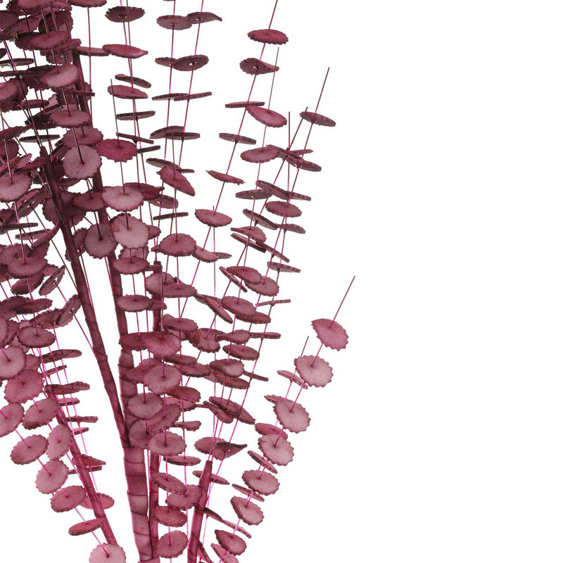 Arrangement, Purple