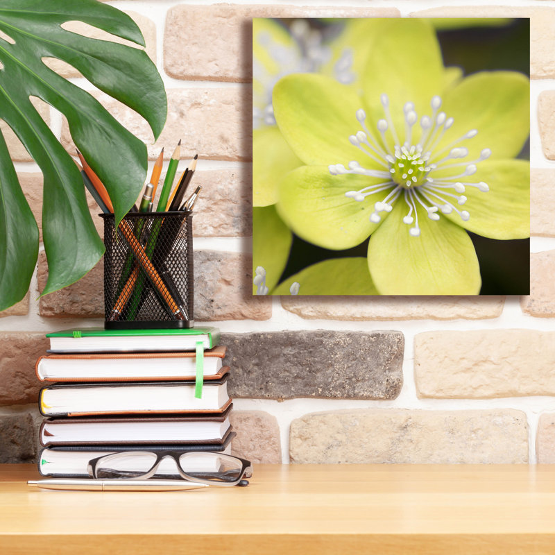 «Yellow Blossom» par PhotoINC Studio, H 12 po x l 12 po x P 0,75 po
