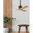 Nan 42" Ceiling Fan In Blades-12185771-61451711