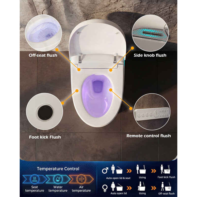 26.9"L x 15.5"W x 18.3"H Multi-Function Smart Bidet Toilet