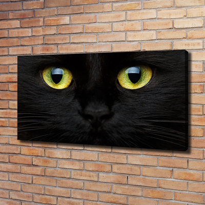 Cat's Eyes - Wrapped Canvas Print