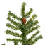 Vickerman 5' Alpine Artificial Christmas Tree, Featuring 475  Pvc Tips And 150 Warm White Dura-Lit Led Lights-692054598